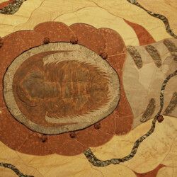 A close up of the floor with an animal design