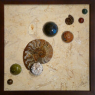 Ammonite Sampler II<br>
13" x 13", 2013 <br>
Limestone; spheres of jade, red jasper, orbicular jasper, labradorite, epidote, tiger’s eye; selenite crystal, ammonites A picture of some shells and marbles on the ground.