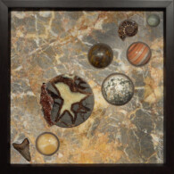 Earth Sampler Series V: Septarian and Calcite I <br> 13” x 13”, 2014 <br> Conglomeritic marble; septarian nodule, calcite crystals; spheres of prehnite, calcite, breccia, orbicular jasper; fossil ammonite and shark’s tooth A group of planets and stars on a marble surface.