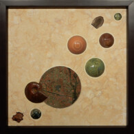 Earth Sampler VI: Turee Rhyolite & Ammonite <br>
13" x 13", 2014 <br>
Limestone; Turee rhyolite; spheres of serpentine, petrified wood, calcite, serpentine with pyrite, orbicular jasper; fossil fern and ammonite; glendonite crystal A painting of various shapes and colors on the ground.