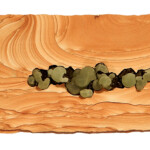 Prehnite Pocket I <br>
23" x 8", 2015 <br>
Kanab sandstone; prehnite and epidote crystals A wooden board with some green leaves on it