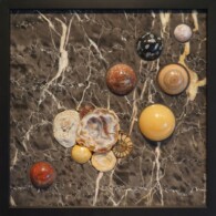 Earth Sampler Series XIX: Quartz Drusy & Ammonite <br>
13" x 13", 2017
<br>
Marble; drusy geode, fossil ammonites; chalcedony concretion; fossil sand dollar; spheres of orbicular jasper, spherulitic obsidian, banded jasper, Cherry Creek jasper, yellow calcite, and “snakeskin” jasper. A marble table with apples and other fruits on it.