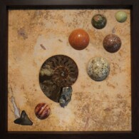 Earth Sampler Series XIII: Ammonite and Pyrite <br>
13" x 13", 2017 <br>
Travertine; ammonite; pyrite; spheres of serpentine, unakite, brown jasper, red jasper, orbicular jasper, red jasper, sharks tooth A picture of some planets and shells on the ground.