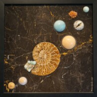 Earth Sampler Series XII: Ammonite & Rosasite <br>
13" x 13", 2017 <br>
Limestone; variscite, creedite, rosasite, ammonite, copper nugget; spheres of orbicular jasper, amazonite, peach calcite A picture of some planets and an ammonite shell.