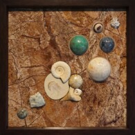 Earth Sampler Series XV: Fossil Vignette <br>
13" x 13", 2017 <br>
Serpentinite; fossils: white ammonite, shrimp, sand dollar, shark tooth and Ram’s horn operculum fossil; crystals: gypsum rose (selenite), and fluorite drusy; spheres of zebra stone, dumortierite, chrysocolla, coral, and orbicular jasper A group of rocks with various shapes and sizes.