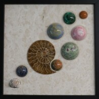 Earth Sampler Series XX: Ammonite and Unakite <br>
13" x 13", 2017
<br>
Marble; ammonite, gypsum rosette; spheres of carnelian, malachite, rhodonite, blue lace agate, ruby in zoisite, unakite, and sodalite A group of planets and an ammonite shell.
