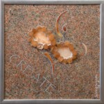2nd Chakra - Sacral - 13" x 13", 2011 - SOLD