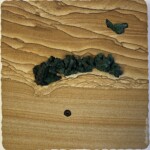 Pocket XXIX: Mirage of the Yucca <br>
12.25” x 12.125” x 1.25”, 2024 <br>
Liesegang banded (Kanab) sandstone; malachite after azurite; quartz geode A piece of wood with some sort of hole in it
