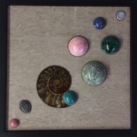 Earth Sampler Series XXI: Ammonite with Chysocolla<br>
13" x 13", 2017
<br>
Fossiliferous limestone; ammonite; trilobite; spheres of rhodochrosite, chrysocolla, ruby in fuchsite, malachite, and sodalite A picture of some planets in the shape of a shell.