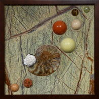 Ammonite Sampler I <br> 13” x 13”, 2013 <br> Marble; spheres of serpentine, tiger’s eye, fossilized coral, red jasper, carnelian; “fish eye” jasper, selenite crystal, ammonite A picture of some different balls and shells.