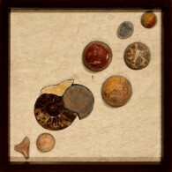Earth Sampler Series XI: Double Ammonites <br> 13” x 13”, 2015 <br>
Fossiliferous limestone; ammonites, citrine crystal; spheres of orbicular jasper, septarian nodule, red jasper, coquina, sunstone; fossil trilobite, shark’s tooth A group of different types of rocks on top of a table.
