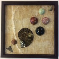 Earth Sampler Series XXII: Honey Onyx with Ammonite <br> 13” x 13”, 2017 <br> Onyx; ammonite; spheres of orbicular jasper, serpentine, aventurescent feldspar, Cherry Creek jasper, labradorite, rhyolite; pyrite from Climax Mine, Lake County, CO; fossil shark’s tooth A picture of some different types of rocks.