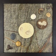 Earth Sampler Series XXXI: Fossilicious
<br>
13”x 13”, 2023
<br>
Marble; Fossils: sharks tooth, Elrathia Kingii (Utah), Echinoid (Sea Urchin), Clypeasteroida (Sand Dollar), Cassiduloid, Shrimp, Ginko Leaf, Ammonites A picture of some buttons on the ground.