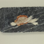 Pocket XIV: Feathered Light <br> 10" x 19 3/4" x 2 1/2", 2020 <br> Banded marble, scolecite, apophylite drusy with stilbite, tumbled carnelian A fish is shown on the surface of a slab.