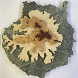 A leaf with some kind of food on it