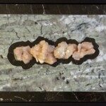 Pocket XXVI: Into The Woods – 11.25” x 18.5” x 2.5”, 2023 <br>Marble, spodumene pegmatite; stilbite with apophyllite crystals A group of four pieces of meat on top of a table.